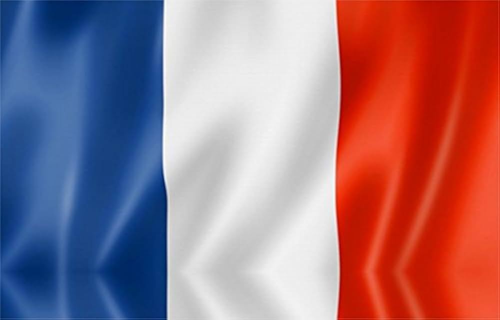 31EQqUd4QEL._AC_UF1000,1000_QL80_(1)